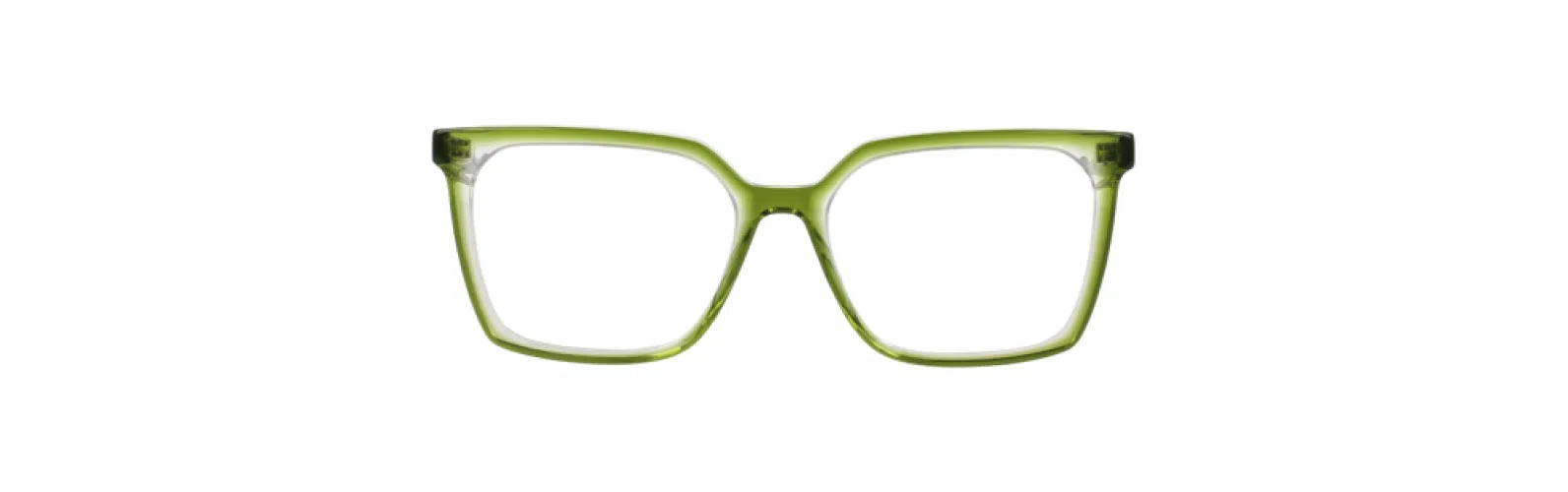 Trina Turk TTEMMY Eyeglasses - view 4